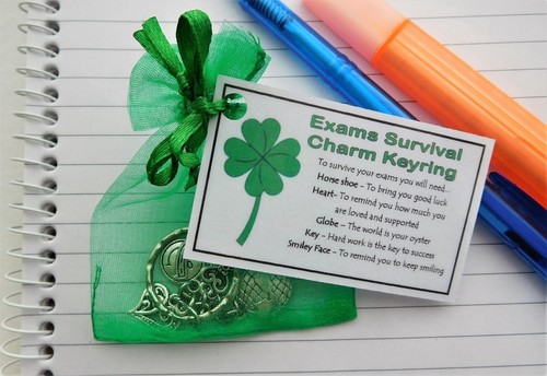 Exams survival charm keyring - charm,